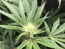 4B65C46F-3D98-4105-B017-0E9C1E98075E