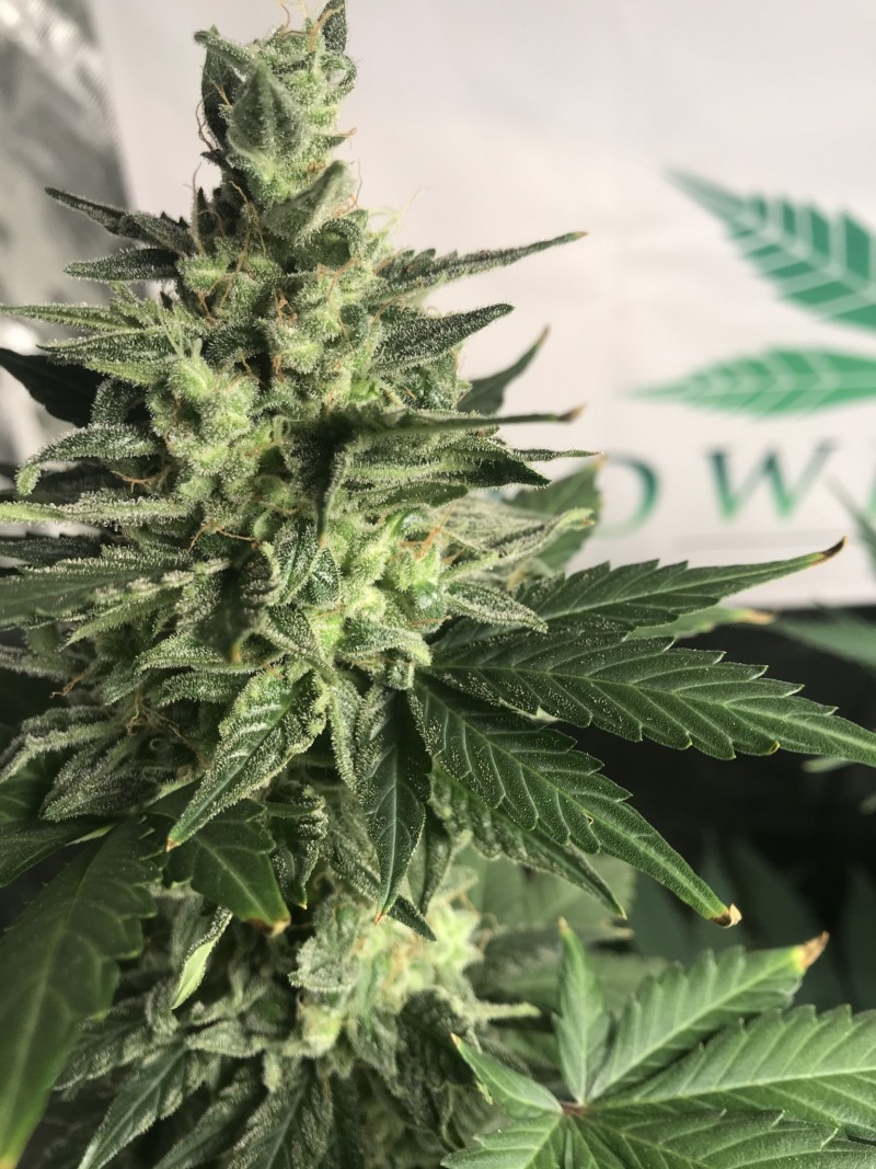 029154BE-2D43-4CB9-8210-A62512F33B91