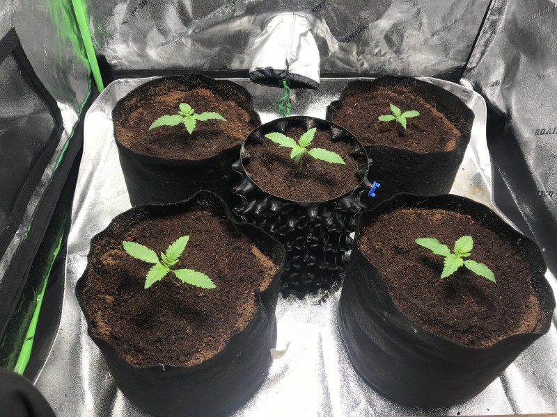 81548FB7-45A2-47C0-88DC-943CFB504C2A