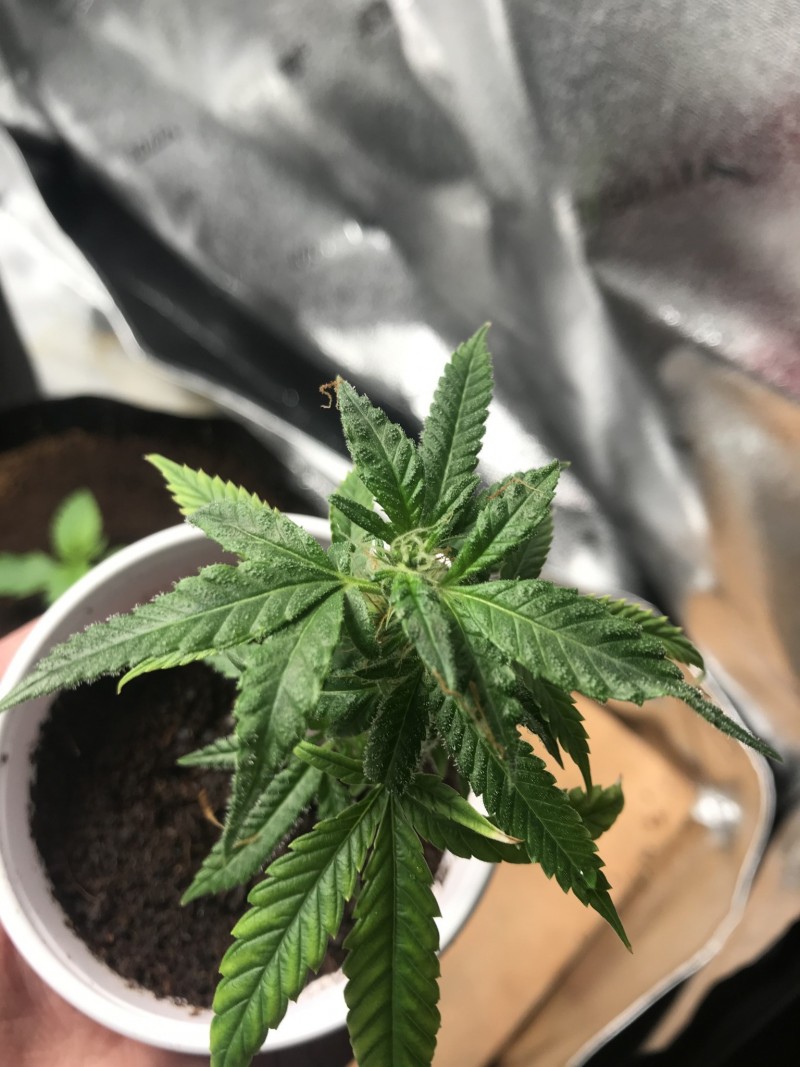 FD2FDD7C-9998-4427-B95F-2DD80EC2C59B