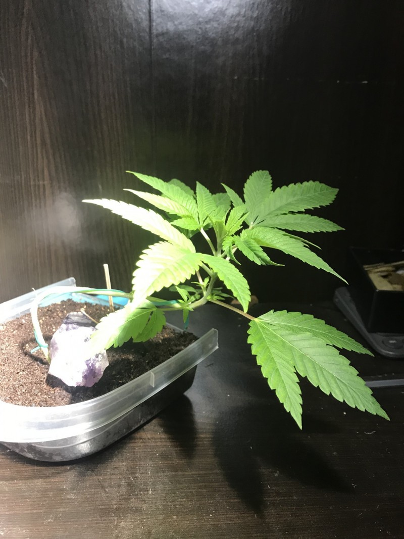 781B96F8-5D02-4B22-8D1A-D6FBF03BE03D