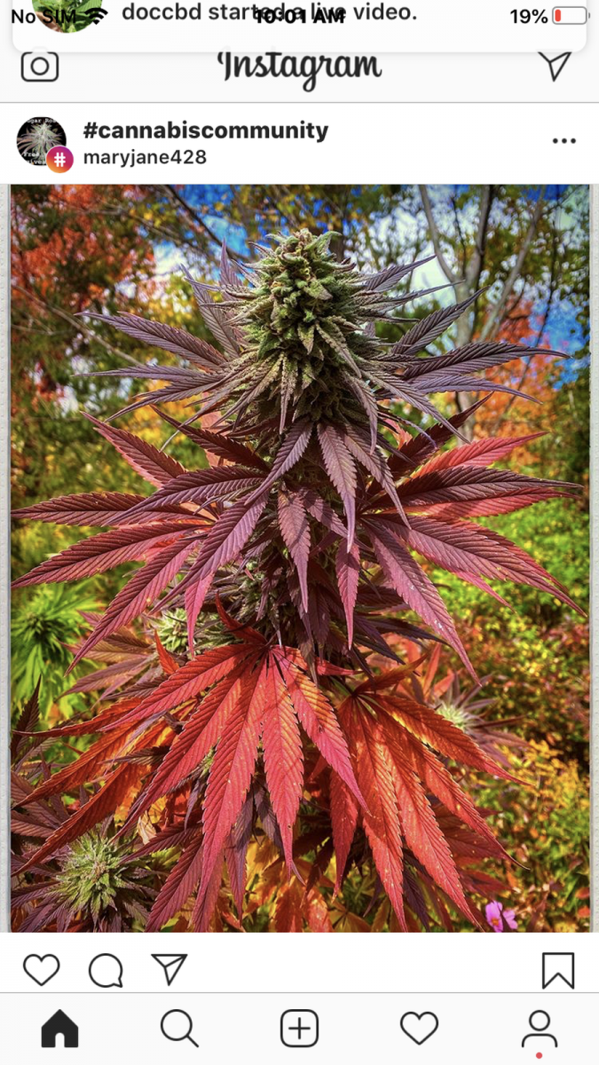 077044FA-2933-43E0-8EA0-3B4EB208D8C2