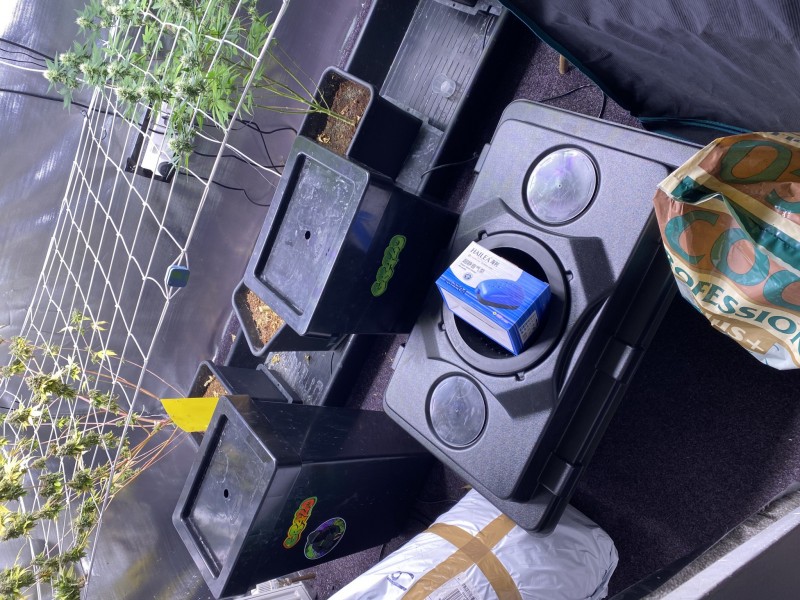 81CD32A9-57EC-4C2D-9AA3-F58544C62875