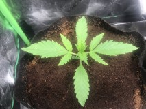 0F9D7DEE-2EE0-46C7-B932-A06431115051