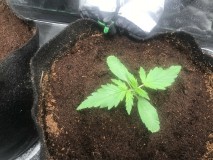 F3554E68-3674-4481-AD2A-19D54E14E23C