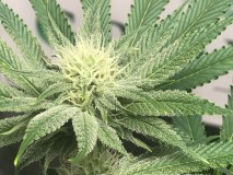 F27B41D3-663C-4581-8C0D-7E097CFFA620