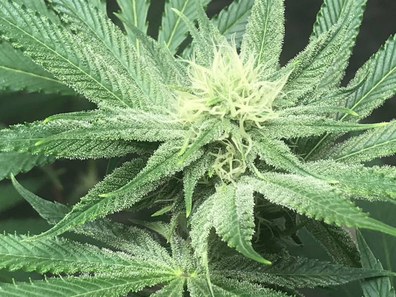 7AFA628A-F82A-45D3-A325-90ACB9819FE0