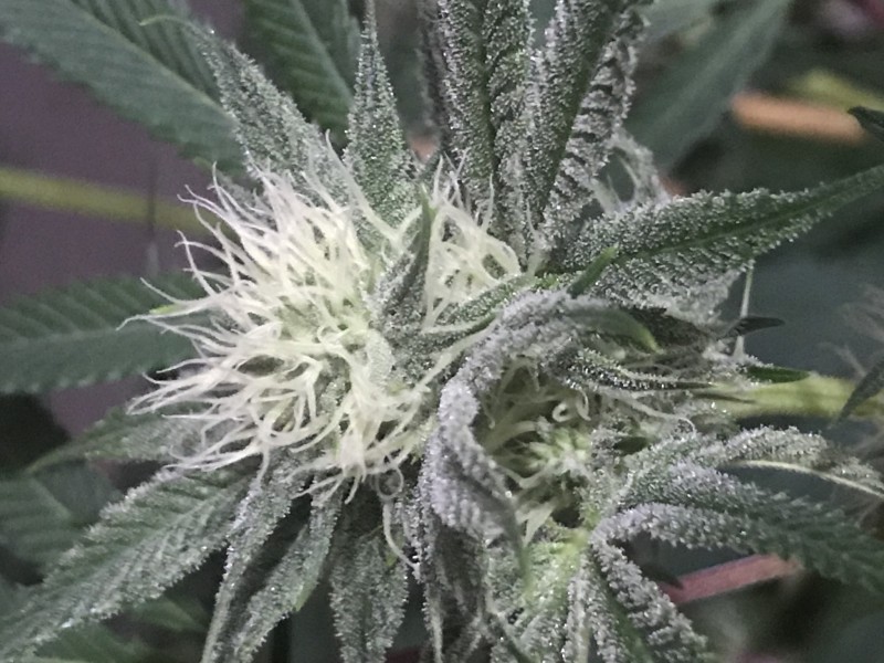 2B53995E-8BE5-4842-A6C9-3118CCEFC231