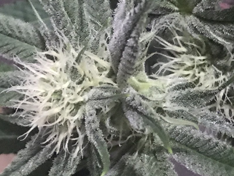 15F0ECD6-47D1-4DD6-B3EB-B6ECDB1D4FF0