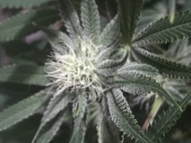 51248AD7-E73E-40AF-9C6A-80A87B98928E