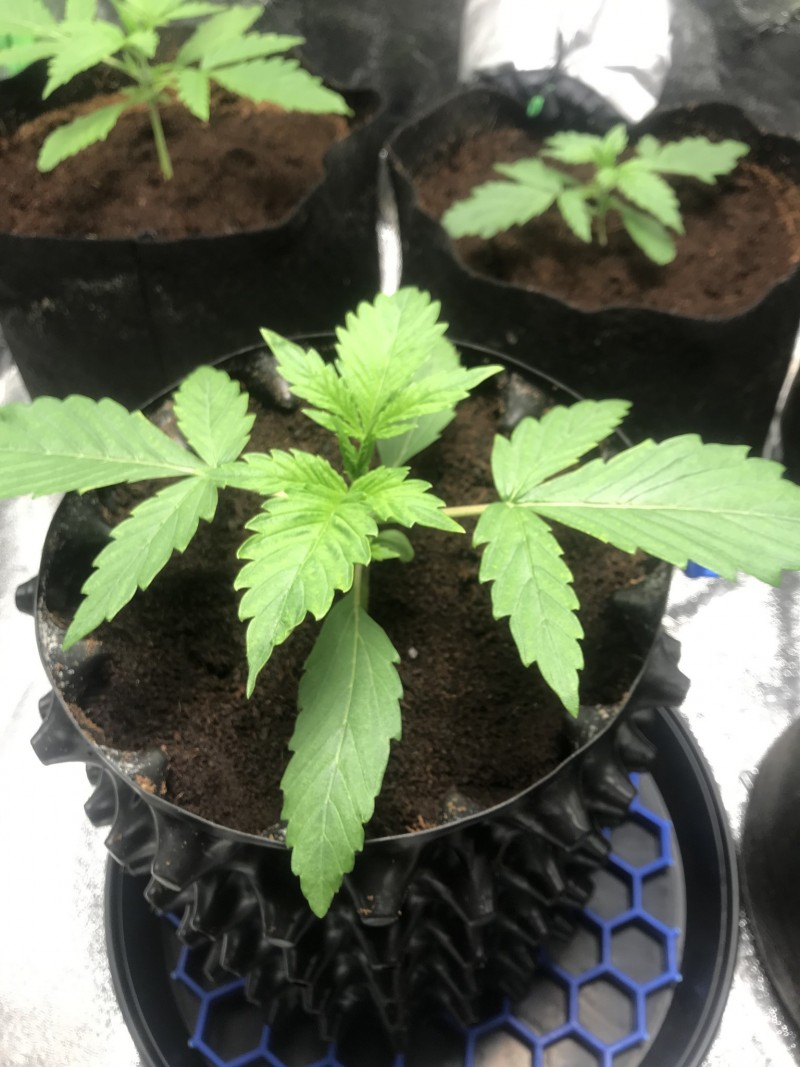 910B037C-6E45-4FBC-93D1-9E6FC59DB1B8