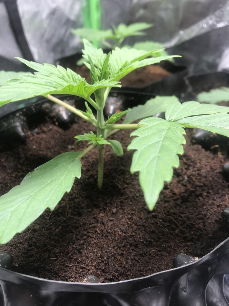 D791BA10-395E-4C54-9B97-D49CE93776C5