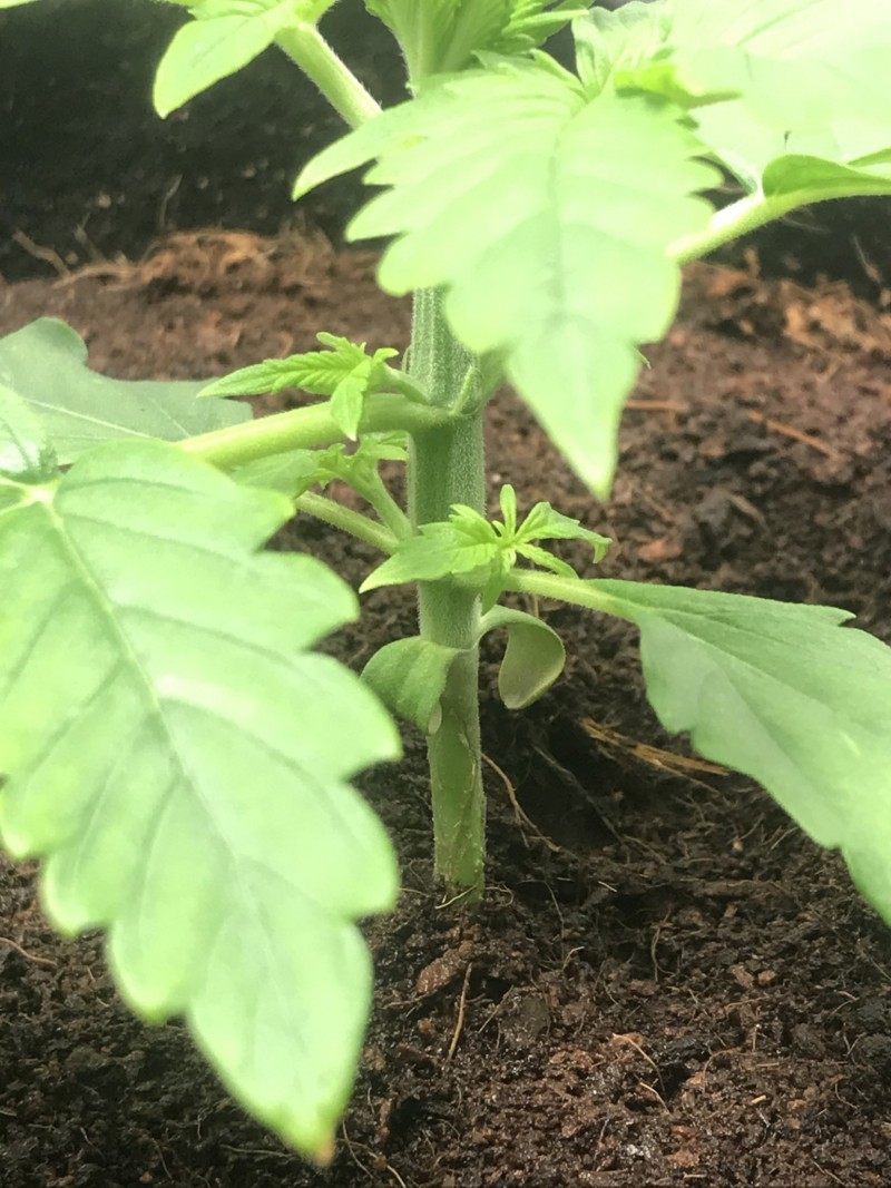 17035C7D-8AA5-4740-95DD-9FDFDD1C9D17