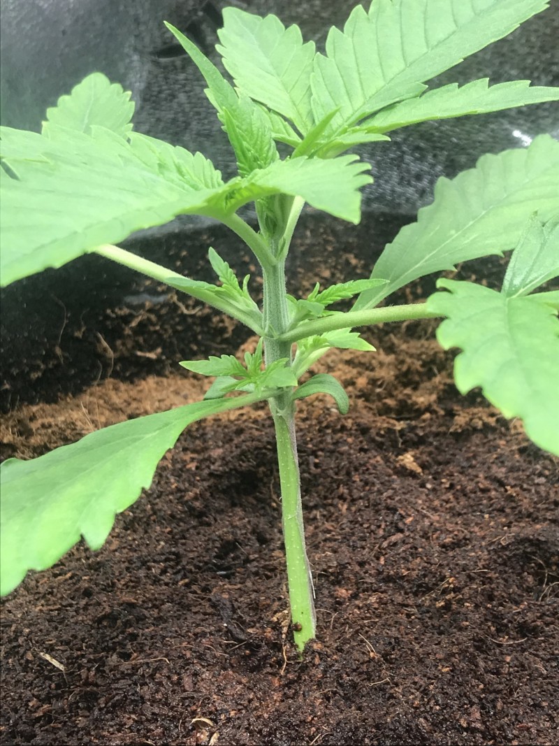 2DC599E7-0799-4602-8327-66DD452E9C09