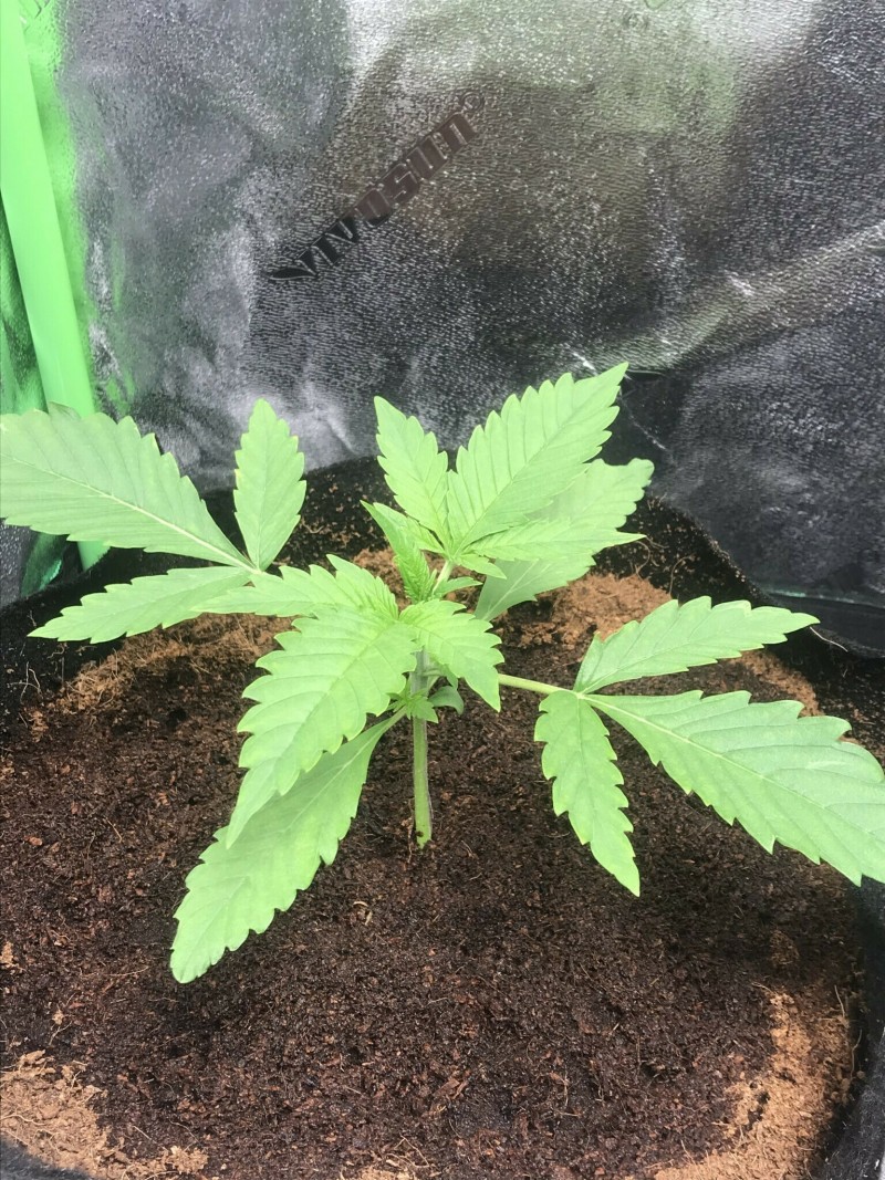 1D39986A-F779-4EAA-AA92-7A6F2D46AC1A