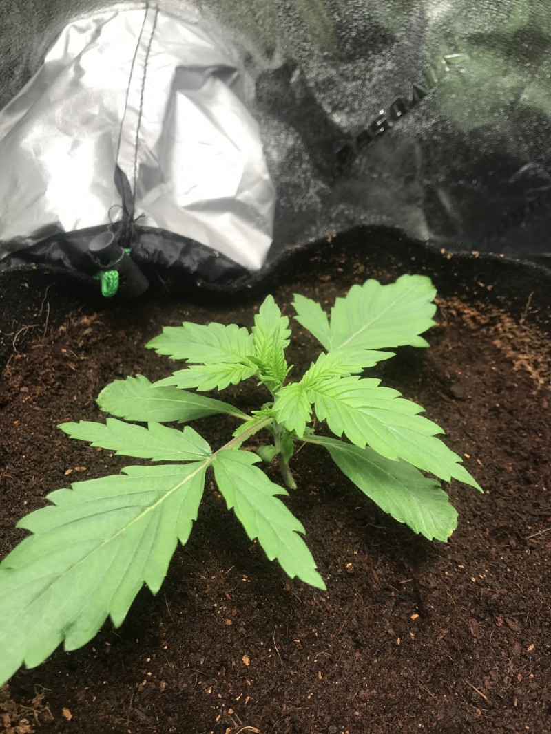 7B2D6C4A-296D-46D5-995A-305DDA65D85B