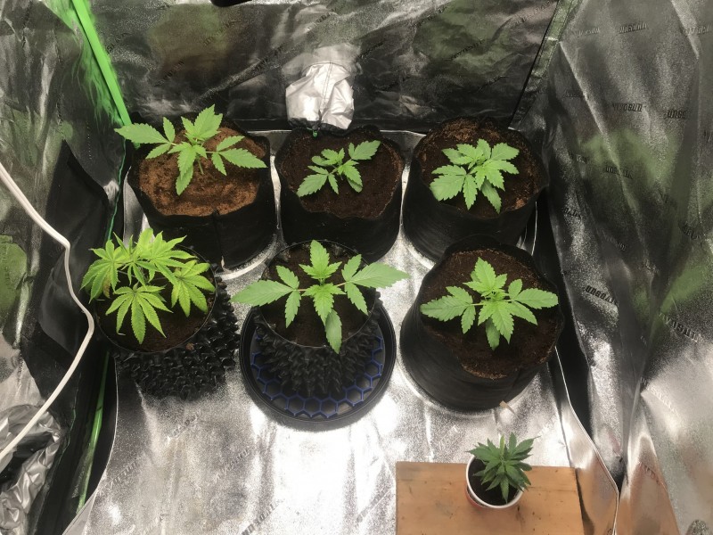 E6BD855D-038F-499B-B2AA-FD44D3A910DF