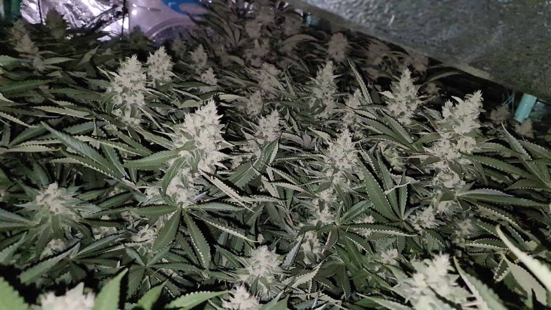 20201009_195837_compress10