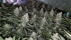 20201009_195837_compress10