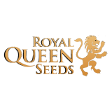 Untitled803_20200907221942