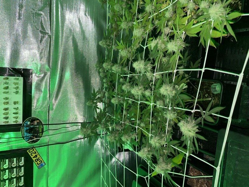 9B14CB1A-8AEF-4940-99D1-56AAC0C01130