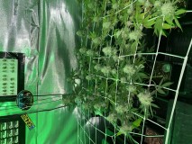 9B14CB1A-8AEF-4940-99D1-56AAC0C01130