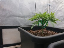 16024914678248209284911098142840