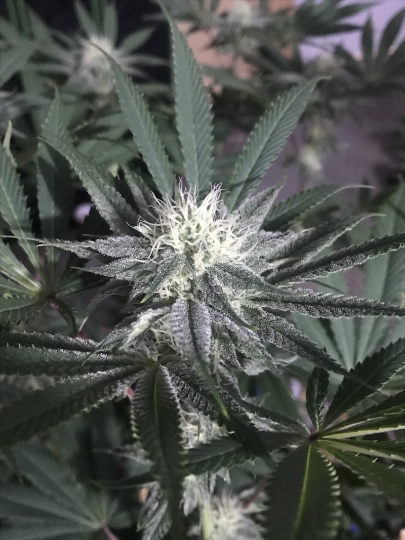 B7A6F5C2-F028-4615-9EF4-08DF071B1A2C