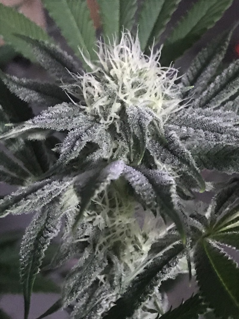 647DCDD8-99EA-4E27-B5A2-432A930C8707