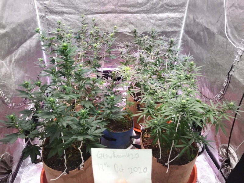 8BA88EBA-7F0A-4808-B127-4D52B814CDA7