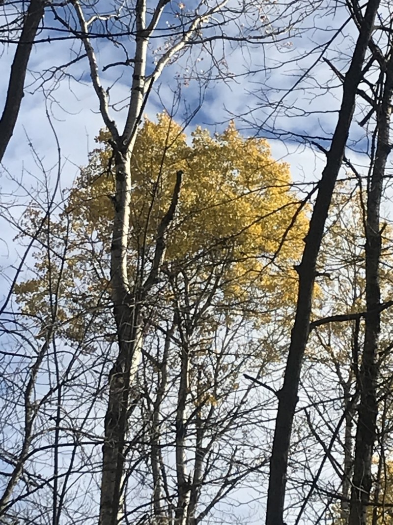 77C45664-B47C-4D5A-8633-487A43F71A07