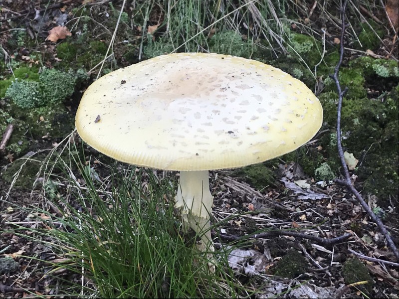 B05CC28F-D689-4B6C-95FC-CBED84D20E35