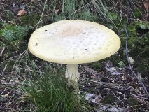 B05CC28F-D689-4B6C-95FC-CBED84D20E35