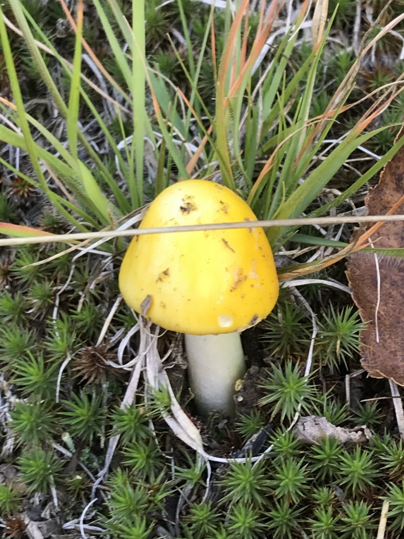 4CE65E83-3F83-42AC-95D5-B865572D14B7