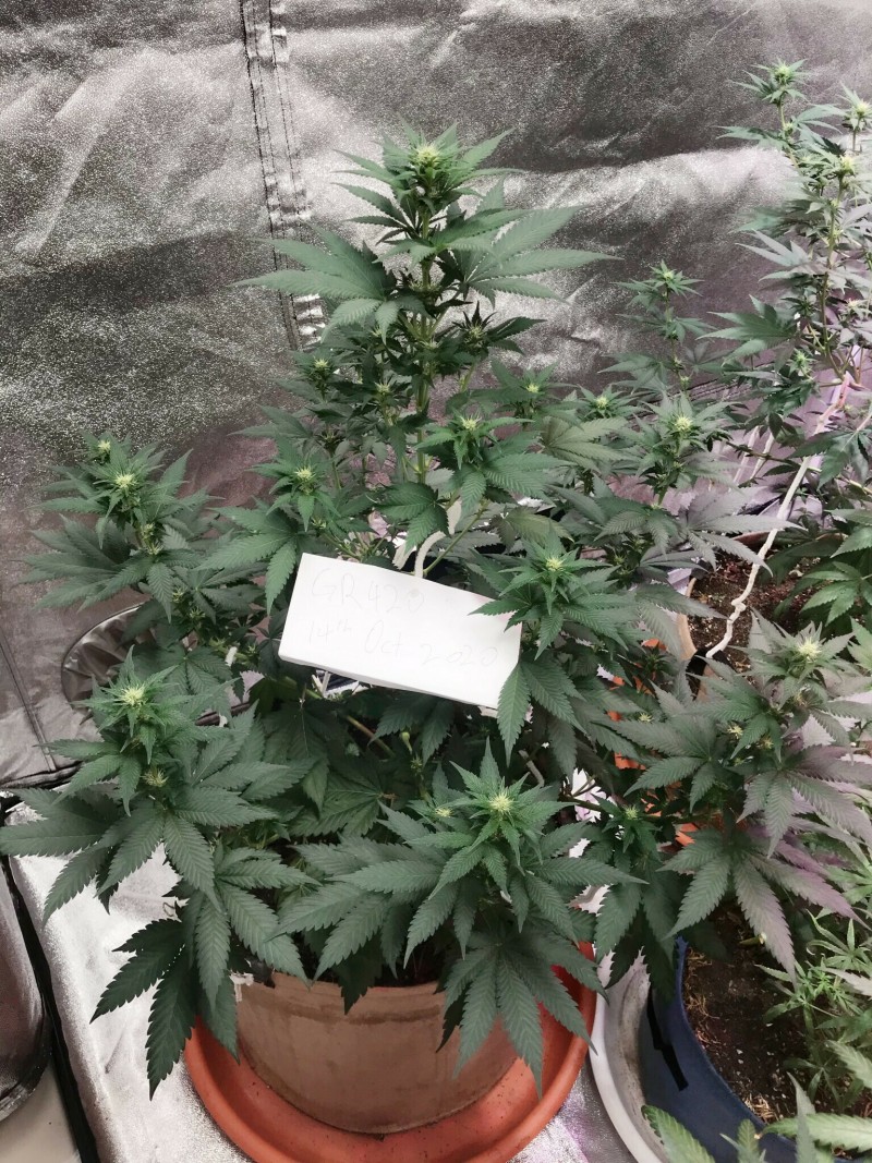 DE56784B-7C2E-4C9C-8A6B-92B2272AD619