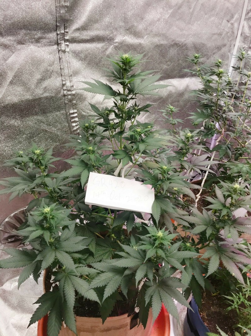 2EB60693-D483-42FD-9BA8-2FA9853D66BF