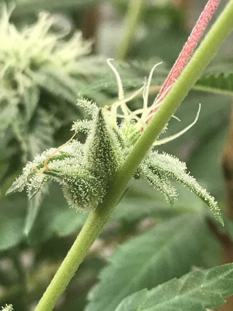 7141D395-41CB-4CAA-8691-123A8A8BA6C6