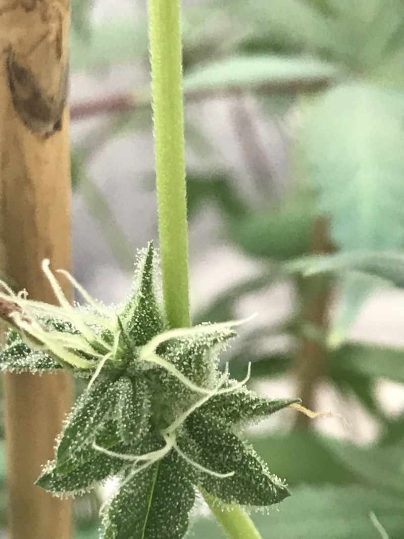 7B461032-F1C8-4ABC-B728-D2DBE21A3165