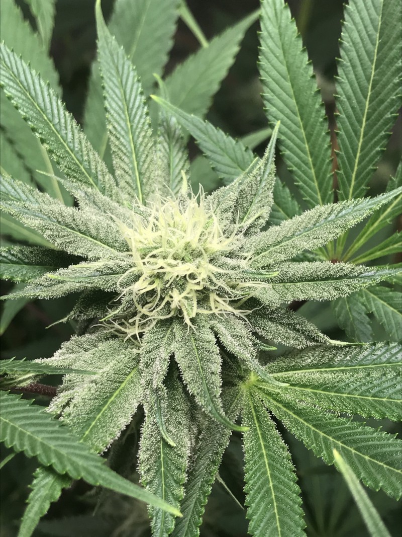 3EA997F0-EC9C-4876-92F3-87A7565FFF01