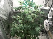 279DC0A3-29AA-4A6A-825A-44B646E3643E