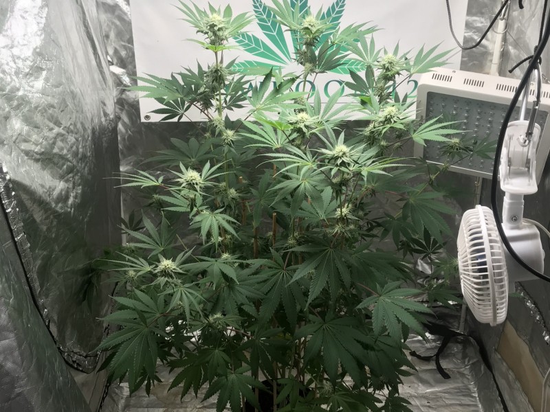 089675D2-1A74-4127-B9C8-D67CCE01ED85