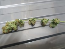 16026920044122905646862176927074