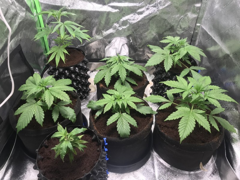 04738985-E374-4F3D-9B18-B3AD496A01B3