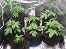 04738985-E374-4F3D-9B18-B3AD496A01B3