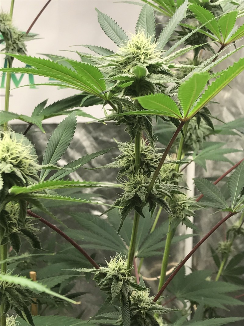 B232781B-6980-4F67-881D-9DA3CC18ED54