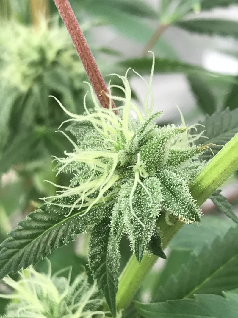 318846E6-6A2F-43AB-9BA5-5C08961D1D7C