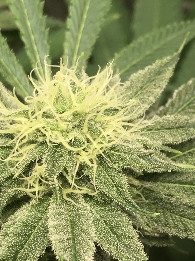 93FDC497-DFE9-4BE5-9F07-D3C175D50A0F