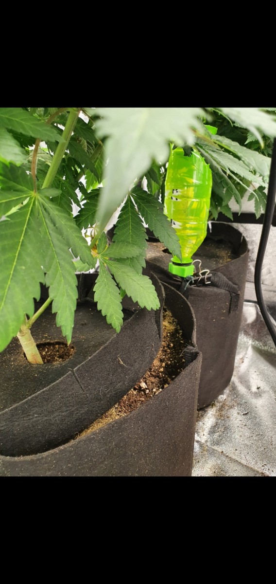 Screenshot_20201015-192120_Gallery