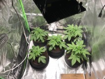 89C712E3-F352-412B-B55E-349D35DA2024