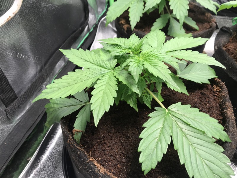 51C7E157-468D-45D8-80BF-AA57BE6BF94A